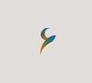 Arab Business Review